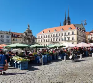 Storge Brno