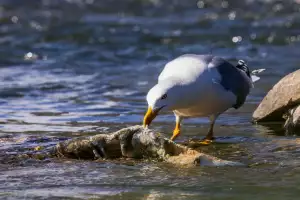 Stojan Na Víno