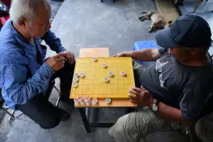 Židle K Psacímu Stolu