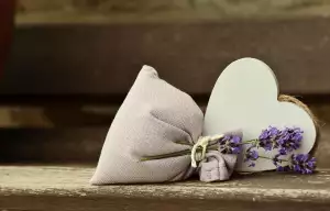 Pohlcovač Pachu