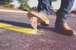Žvýkačky