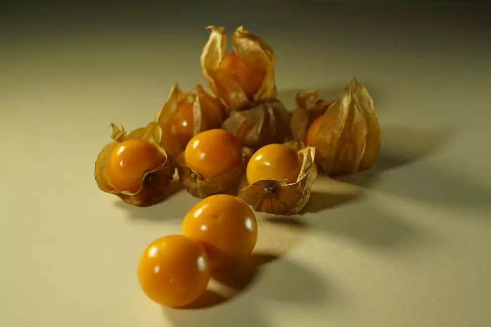 Sklenice Na Zavařování