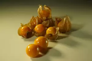 Sklenice Na Zavařování