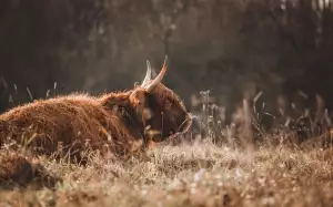 Jak Vyčistit Stříbro