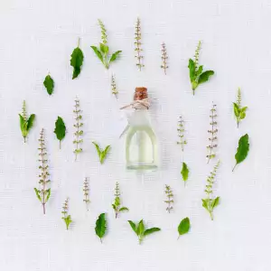 Panadol Sirup