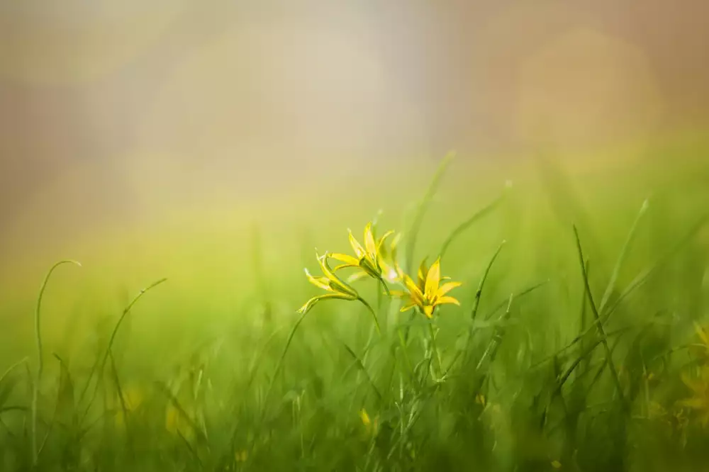 Předsíňová Stěna S Lavicí