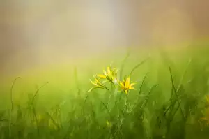 Předsíňová Stěna S Lavicí