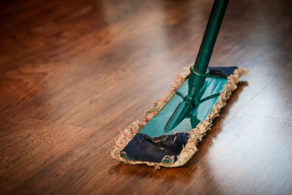 Vileda Mop