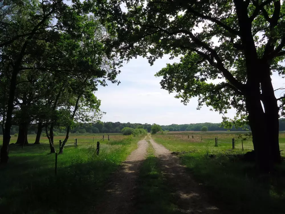 Postel S Výsuvným Lůžkem