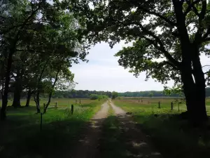 Postel S Výsuvným Lůžkem