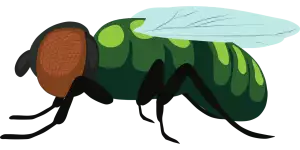 Octomilky