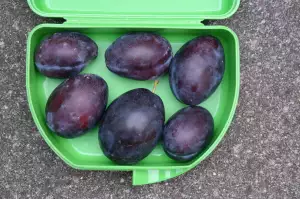 Tupperware