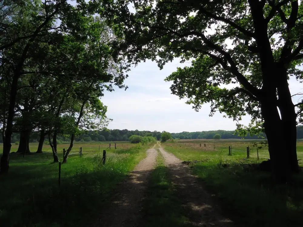 Čalouněná Postel