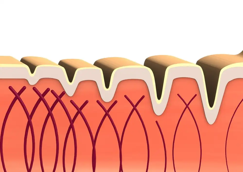 Collagen Drink