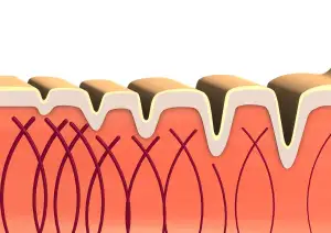 Collagen Drink