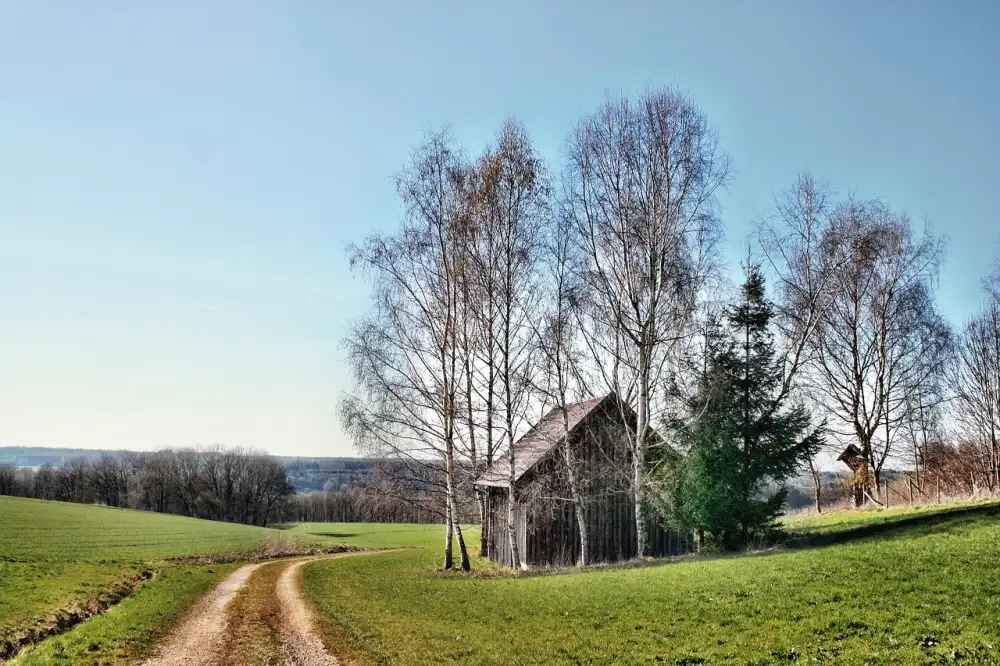 Dřevník