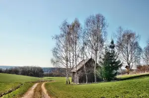 Dřevník