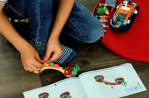 Lego Creator Expert