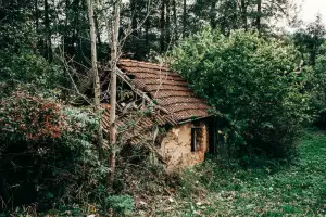 Hnědá Barva Na Vlasy